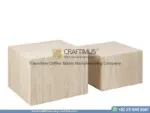 Travertine Square Coffee Table with white background product image