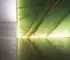 onyx marble manufacturer green onyx backlit slab