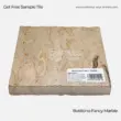 Botticino Fancy Marble tile, beige natural stone with unique veining, ideal for various interior applications.