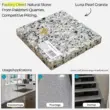 Luna Pearl Granite natural stone slab, gray speckled surface for countertops, flooring, and staircases.