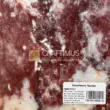 Strawberry Marble, red and white, perfect for tiles, countertops, and wall cladding applications.